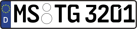 MS-TG3201