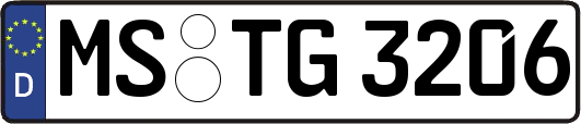 MS-TG3206