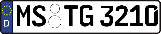 MS-TG3210