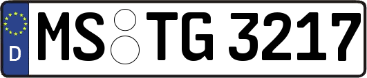 MS-TG3217