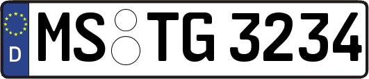 MS-TG3234