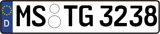 MS-TG3238
