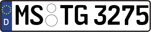 MS-TG3275