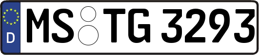 MS-TG3293