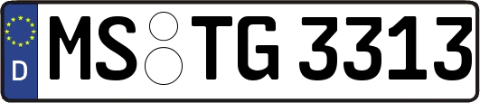 MS-TG3313
