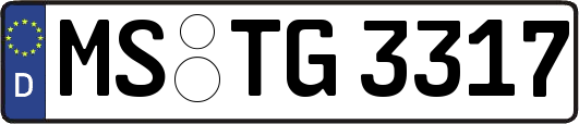 MS-TG3317