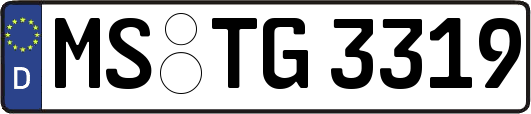 MS-TG3319