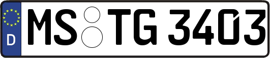 MS-TG3403