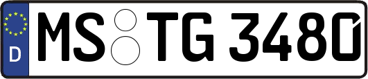 MS-TG3480