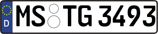 MS-TG3493