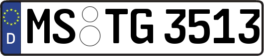 MS-TG3513