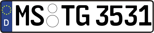 MS-TG3531