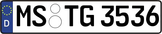 MS-TG3536