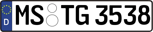 MS-TG3538