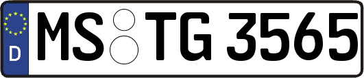 MS-TG3565