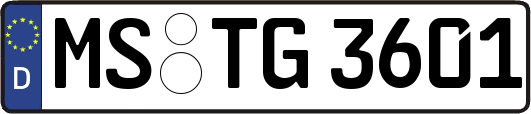 MS-TG3601
