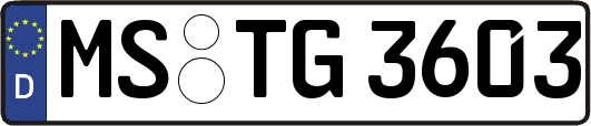 MS-TG3603