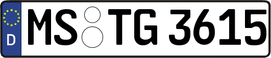 MS-TG3615