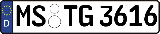 MS-TG3616