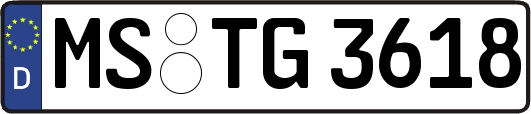 MS-TG3618