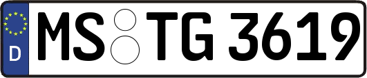MS-TG3619