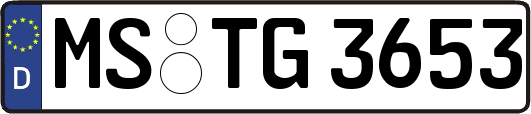 MS-TG3653