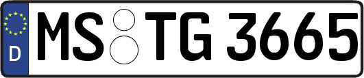 MS-TG3665