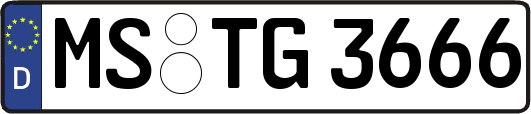 MS-TG3666