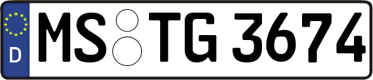 MS-TG3674