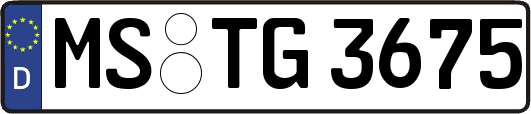 MS-TG3675