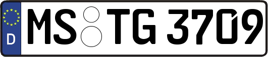 MS-TG3709