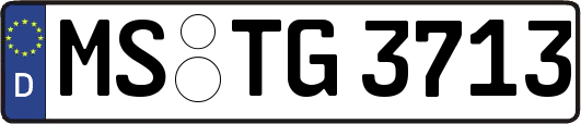 MS-TG3713