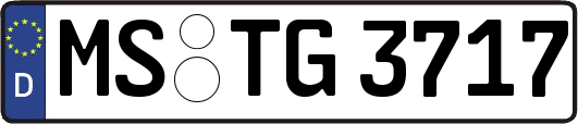 MS-TG3717
