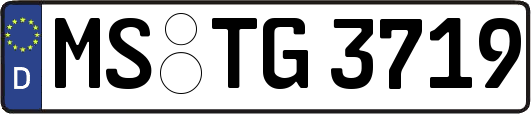 MS-TG3719