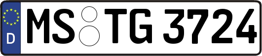 MS-TG3724