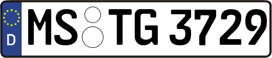 MS-TG3729