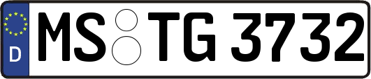 MS-TG3732