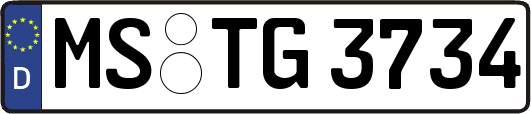 MS-TG3734
