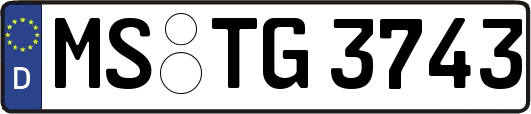 MS-TG3743