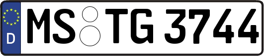 MS-TG3744