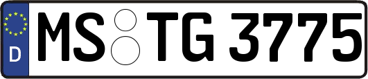 MS-TG3775