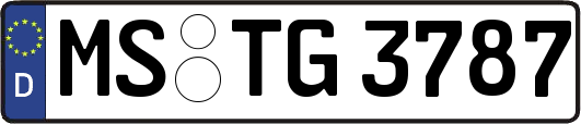 MS-TG3787