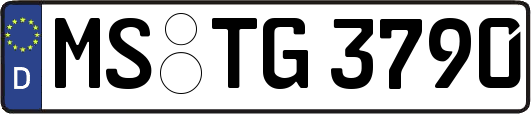 MS-TG3790