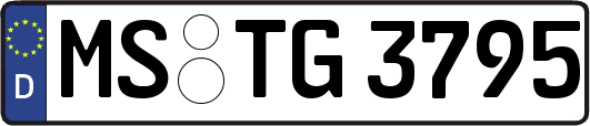 MS-TG3795