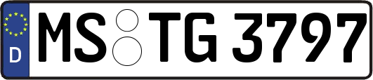MS-TG3797