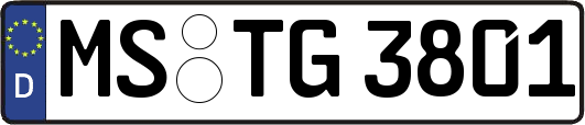 MS-TG3801
