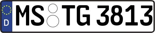 MS-TG3813