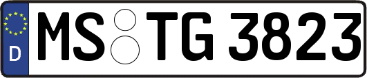MS-TG3823