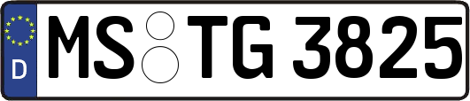 MS-TG3825