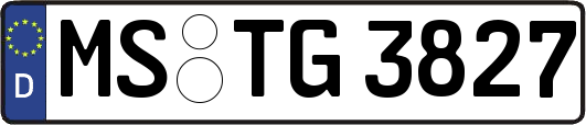 MS-TG3827